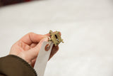 Small oxidized bronze turtle pendant held in hand to show its scale and underside.