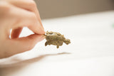Vintage bronze turtle pendant with circle design, held to show its small scale.