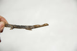 Side view of a bronze crocodile highlighting its textured black back and smooth head.