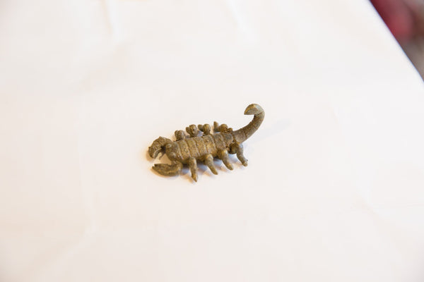 Vintage African Bronze Scorpion // ONH Item ab00671 Image 1