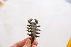 Vintage African Bronze Scorpion // ONH Item ab00671 Image 3