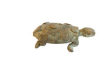 Vintage African turtle sculpture with a dark oxidized patina and raised circle back design.