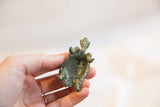 Underside of a vintage African metal turtle showing its hollow form and handmade texture.
