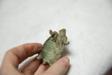 Close-up of the vintage African bronze turtle's imperfect, green-patinaed back.