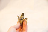 Close-up of the vintage bronze ostrich feet showing its aged, light patina.