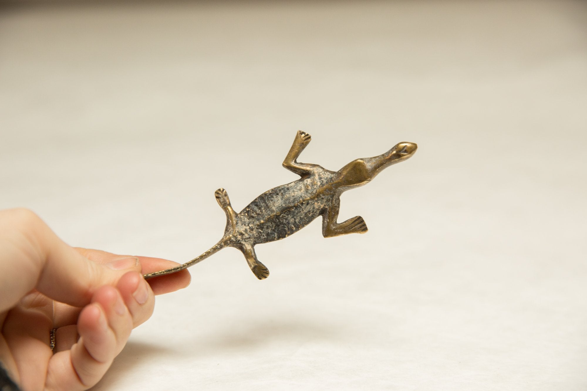 Vintage African Light Patina Black Backed Curved Tail Crocodile // ONH Item ab00738 Image 1