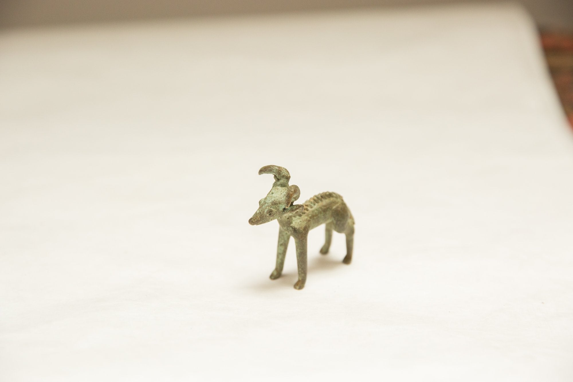 Vintage African Dark Oxidized Forward Horn Ram // ONH Item ab00752 Image 1