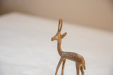 Textured golden patina on the head and slender neck of a vintage mixed metal gazelle sculpture.