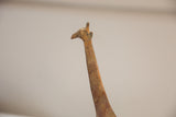 Sculpted head and neck of the vintage bronze giraffe, highlighting its textured patina.