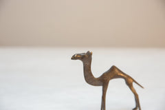 Vintage African Dark Bronze Camel // ONH Item ab00769 Image 3