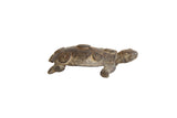 Vintage African dark bronze turtle with raised circle designs on its shell and a weathered patina.