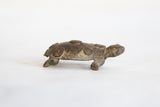 A vintage bronze turtle sculpture in profile, highlighting the raised spiral designs on its shell.