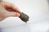 A small African bronze turtle sculpture with circular back patterns held in hand.