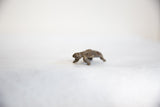 Low side angle view of the vintage dark bronze turtle sculpture against a white background.