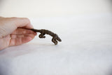 Vintage African bronze pangolin held by hand, revealing detailed textured scales.