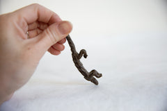 Vintage African Dark Bronze Pangolin with Curved Tail // ONH Item ab00786 Image 6