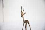 Slender head and long antlers of a vintage African bronze gazelle with a light patina.