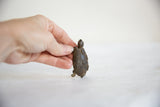 A small vintage African bronze turtle with circle patterns held to show scale.
