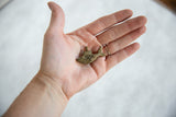 Vintage African bronze fish pendant held in an open palm to show its small scale.