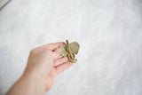 Vintage African elephant head pendant with oxidized golden patina held in hand.