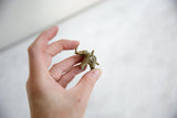 Vintage bronze elephant pendant with a mesh body held in hand for scale.
