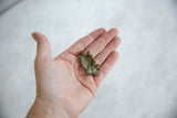 Small vintage bronze turtle pendant with a green patina held in hand to show scale.