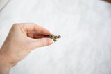 A hand holding a small vintage African bronze turtle pendant to show its scale.