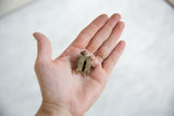 Vintage African bronze turtle pendant resting in hand to show its collectible scale.