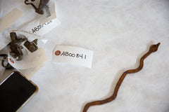Vintage African Long Iron Slithering Snake // ONH Item ab00841 Image 2