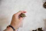 Vintage bronze turtle pendant held in hand to show its handmade quality and scale.