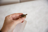 Vintage African bronze turtle pendant held in hand to show its small scale.