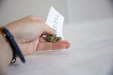 Vintage bronze turtle pendant held in hand to demonstrate its small, collectible size.
