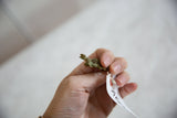 Side profile of the vintage African turtle pendant with its oxidized bronze mesh shell.