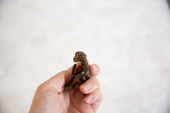 Vintage African Bronze Sitting Monkey Holding Banana // ONH Item ab00924 Image 3