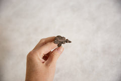 Vintage African Bronze Lizard Ring // ONH Item ab00930 Image 2