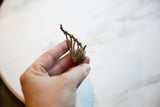 Small African bronze musical instrument held in hand to show its petite scale.