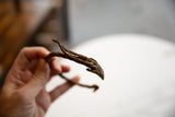 Hand holding antique African iron bracelet, revealing its dark, textured finish and sculptural form.