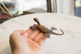 Hand cradling the vintage African dark bronze gecko sculpture with textured surface.