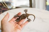 Vintage African dark bronze gecko's textured back, legs, and curved tail in hand.