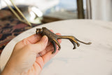 Vintage African bronze lion held in hand, showing its textured surface and scale.