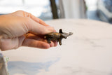 Hand holds the vintage African bronze elephant, showcasing its unique handmade texture and patina.