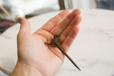 Vintage African bronze bird pin held in hand to demonstrate its collectible scale.