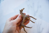 Vintage African copper alloy horse with unique textured body, held in hand.