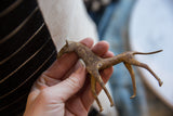 Vintage African copper alloy horse held in hand, showing its textured, aged patina.