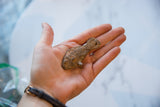 Small, handmade bronze fish with light patina held in a hand.