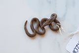 Rustic metal snake sculpture with a twisting body and backward-facing head.