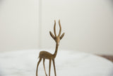 Collectible African gazelle, vintage brass with intricate textured horns, frontal view.