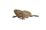 Vintage African bronze frog with a textured checkered back and rustic patina.