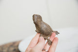 Overhead view of the vintage bronze frog highlighting its checkered back and splayed feet.