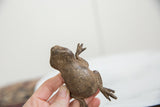 Angled view of the handmade checkered back and aged bronze texture of the frog sculpture.